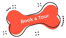 https://www.mokaimascotas.es/wp-content/uploads/2019/08/book_tour.png