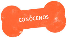 https://www.mokaimascotas.es/wp-content/uploads/2019/11/conócenos.png