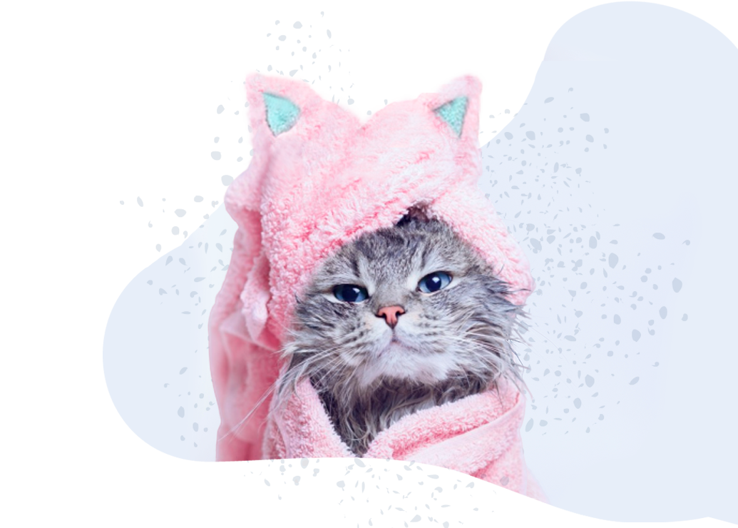 Salud-e-higiene-gato-orejas https://www.mokaimascotas.es/wp-content/uploads/2019/12/Salud-e-higiene-gato-orejas.png