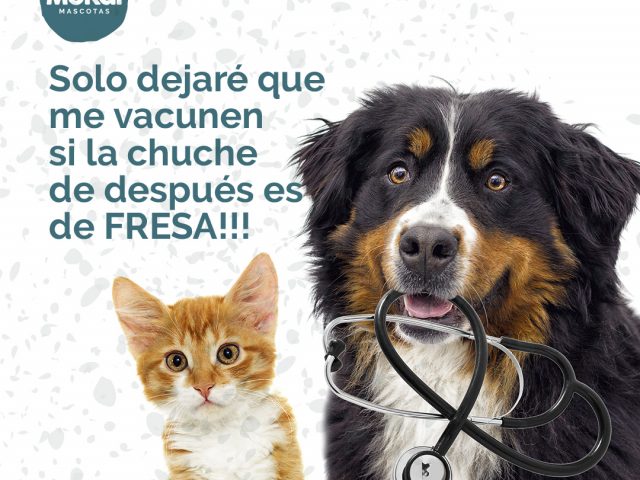 Cuidamos la salud de tus mascotas