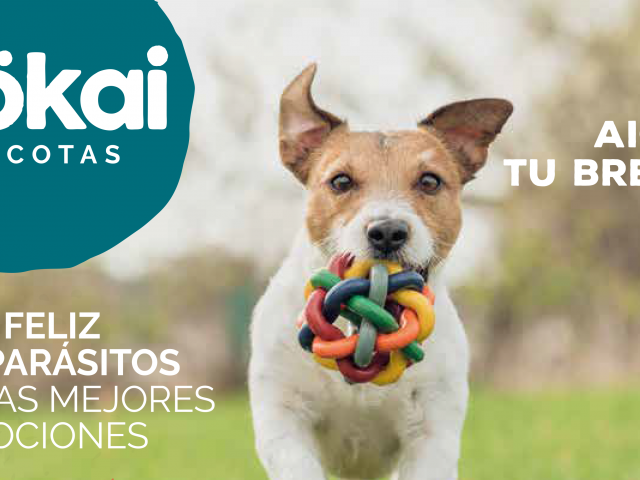 Marzo de precios salvajes en Mökai Mascotas