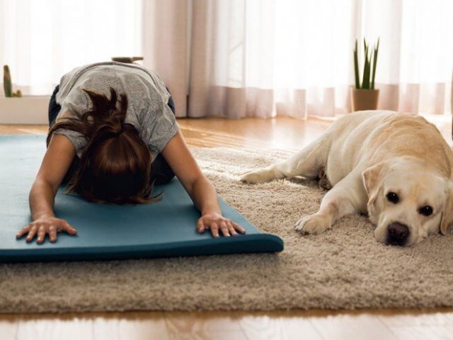 Los mejores ejercicios para hacer con tu mascota en casa