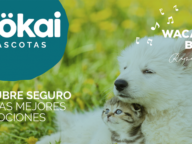 ¡Preparados para el verano con las ofertas de junio!