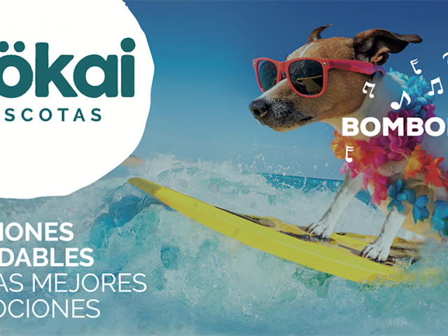 ¡En Mökai Mascotas nos subimos a la cresta de la ola con nuestras ofertas!