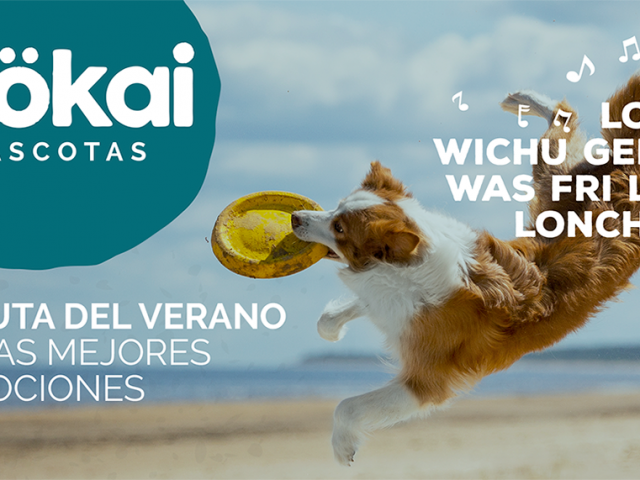 ¡Chapuzón de ofertas en Mökai Mascotas!