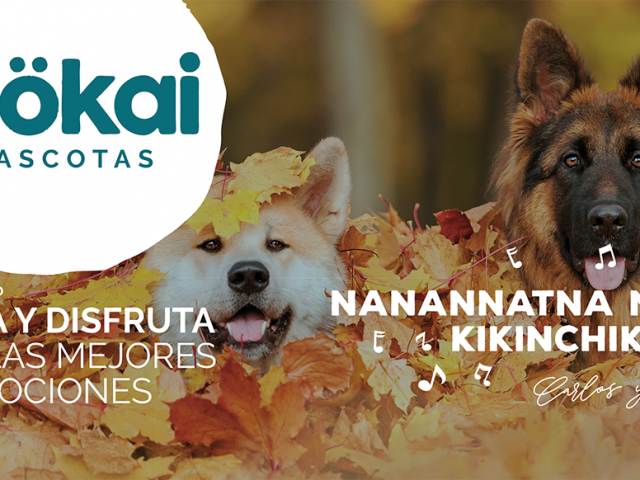 Octubre en familia, ¡mascotas felices!