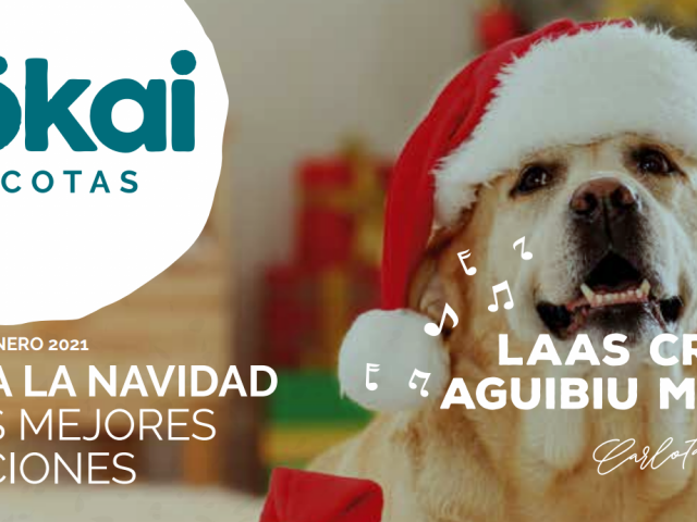 Diciembre y la Navidad llegan a casa un año más