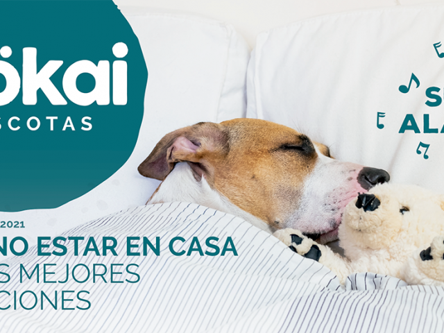 Febrero lleno de ofertas en tu tienda preferida: Mökai Mascotas