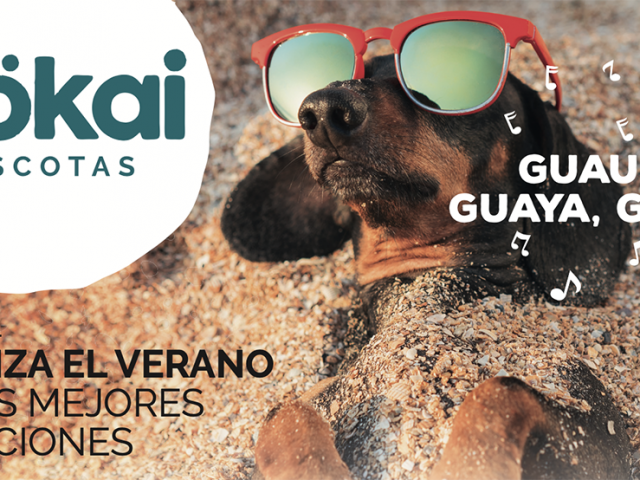 Llega el verano a Mökai Mascotas con las mejores ofertas