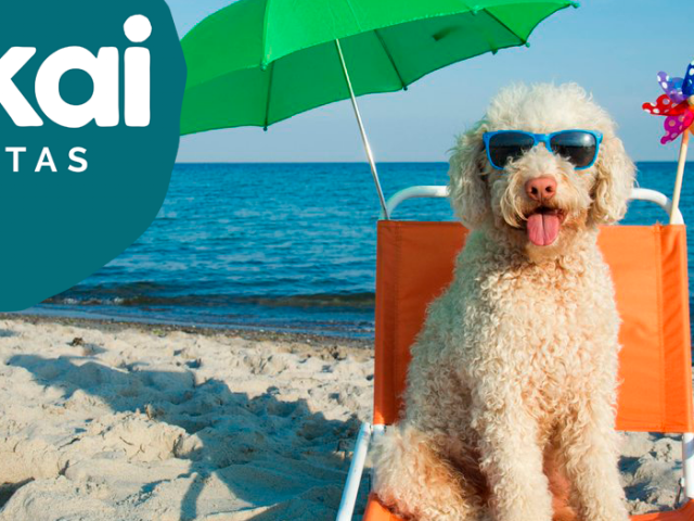 ¡Equípate en Mökai Mascotas para tus vacaciones de verano!