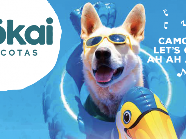 Agosto lleno de vitalidad y alegría en Mökai Mascotas