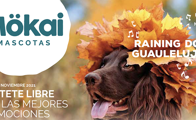 Octubre trae debajo de la patita ofertas, promociones, ¡y un supersorteo!