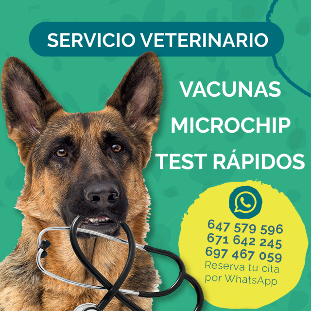 Servicio Veterinario Mökai Mascotas